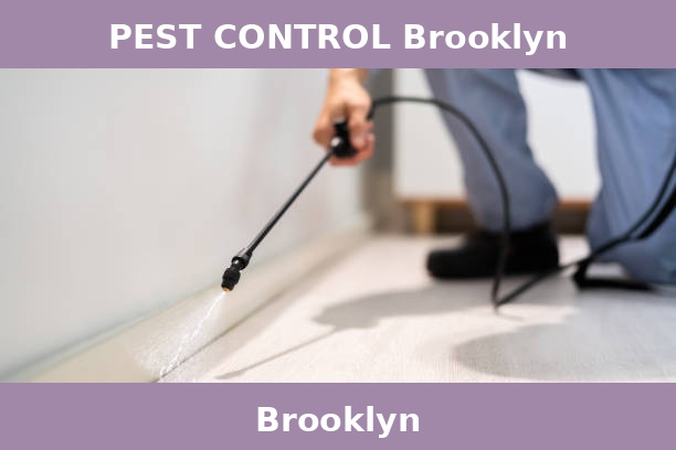 PEST CONTROL Brooklyn